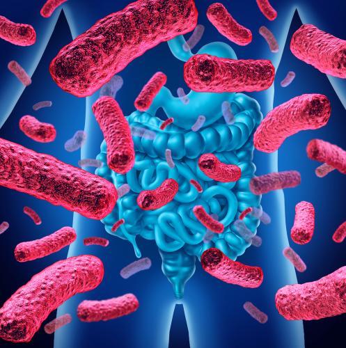 SECRET CONFORT : LE PROBIOTIQUE NOUVELLE GÉNÉRATION POUR UN MICROBIOTE ÉQUILIBRÉ !!